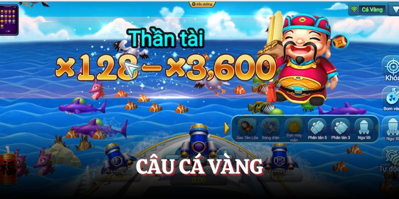 Câu cá vàng hấp dẫn